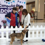 HUIXQUICAN LOGRA CIFRA RÉCORD EN 2025: MÁS DE 400 PERROS RESCATADOS ENCUENTRAN UN HOGAR