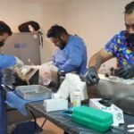 REFUERZA HUEHUETOCA ACCIONES DE SALUD ANIMAL CON JORNADAS DE ESTERILIZACIÓN