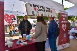 EDOMÉX, CAPITAL MUNDIAL DEL BIENESTAR ANIMAL