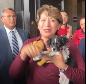 PASO HACIA EL BIENESTAR: APROBACIÓN DE LA LEY DE PROTECCIÓN ANIMAL EN EL ESTADO DE MÉXICO