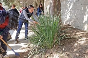 MÁS DE 19,000 ESCUELAS EN EDOMÉX SE UNEN POR LA TIERRA: UN EJEMPLO DE CONCIENCIA AMBIENTAL