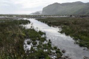 ADVIERTEN IMPACTO SEVERO DE «EL NIÑO» Y CALOR EXTREMO EN LA PRODUCCIÓN AGROALIMENTARIA DE MÉXICO PARA EL VERANO 2026