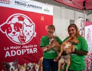 CINCO PERROS ENCUENTRAN HOGAR EN TOLUCA BAJO LA ESTRATEGIA «LA MEJOR JUGADA ES ADOPTAR»
