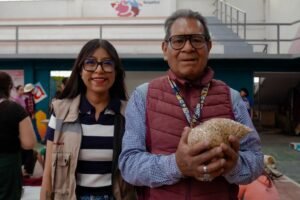 ANA TERESA CASAS INVESTIGADA POR LA ASF