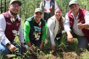 EDOMEX SIEMBRA 2.32 MILLONES DE PLANTAS EN 1,886 HECTÁREAS, PERO LA TALA ILEGAL Y LOS INCENDIOS SIGUEN GANANDO TERRENO