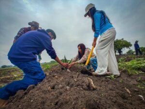 RESCATAN EL METEPANTLE Y EL AGAVE PULQUERO COMO ESCUDO CONTRA LA EROSIÓN EN EL EDOMEX