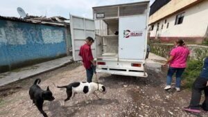 GOBIERNO DE CUAUTITLÁN IZCALLI RESCATA CANINO POR PRESUNTO MALTRATO ANIMAL
