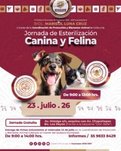 COYOTEPEC IMPULSA BIENESTAR ANIMAL CON JORNADA GRATUITA DE ESTERILIZACIÓN CANINA Y FELINA