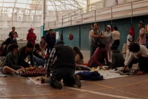 ÉXITO EN COYOTEPEC: MÁS DE 100 MASCOTAS ESTERILIZADAS EN JORNADAS MUNICIPALES DE BIENESTAR ANIMAL