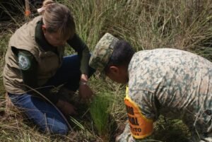 GOBIERNO DEL EDOMÉX CUMPLE META AMBIENTAL CON LA REFORESTACIÓN DE 100 MIL ÁRBOLES