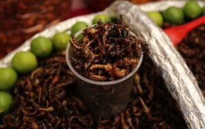 EL EDOMÉX CELEBRA SU RIQUEZA CULINARIA CON EL PRIMER ENCUENTRO GASTRONÓMICO “SABERES Y SABORES DE MI TIERRA”