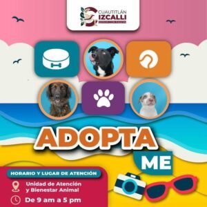 IMPULSAN JORNADA DE ADOPCIÓN RESPONSABLE N CUAUTITLÁN IZCALLI