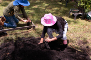 PROBOSQUE IMPULSA LA EDUCACIÓN FORESTAL INFANTIL CON SU PRIMER CURSO DE VERANO 2026