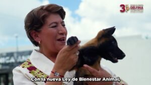 ESTADO DE MÉXICO SE CONSOLIDA COMO REFERENTE NACIONAL EN PROTECCIÓN ANIMAL TRAS TIPIFICAR EL MALTRATO CON HASTA 11 AÑOS DE PRISIÓN