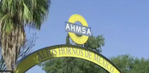 CIESA GANA SUBASTA DE AHMSA Y MINOSA POR MIL 400 MILLONES DE DÓLARES