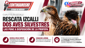 RESCATA CUAUTITLÁN IZCALLI DOS AVES SILVESTRES Y LAS PONE A DISPOSICIÓN DE LA PROFEPA