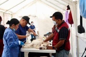 TLALNEPANTLA SUPERA LAS 16 MIL ATENCIONES VETERINARIAS EN FAVOR DEL BIENESTAR ANIMAL